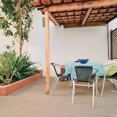 New - Swallow's Garden Lisbon