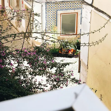 Appartement New - Swallow's Garden *